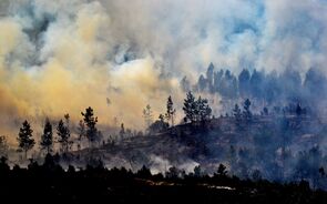 Mais de 300 incêndios e quase seis mil homens no terreno