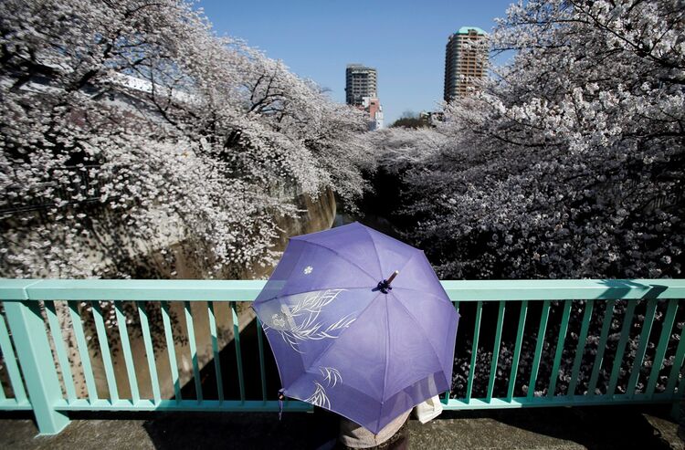reuters