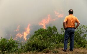 Ardeu um perímetro de 157 quilómetros em Pedrógão Grande
