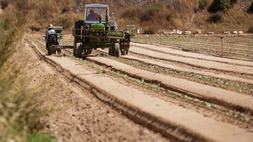 Barragem de mais de 10 milhões promete mudar o cultivo da terra em Vila Flor 