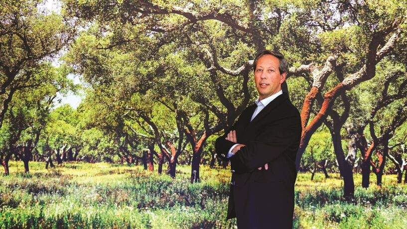 Corticeira Amorim mantém dividendo de 18,5 cêntimos mas não paga “extras” em dezembro