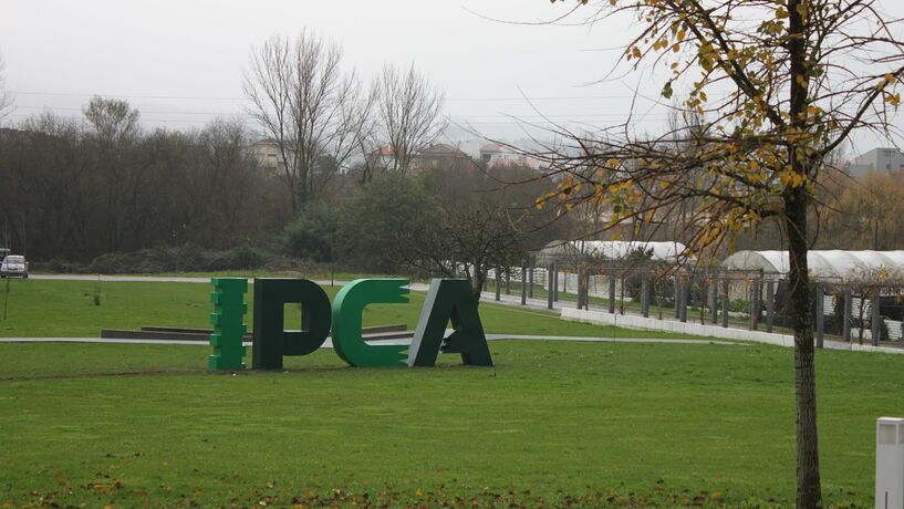 Exames para alunos do profissional entrarem no superior vão ser feitos por regiões