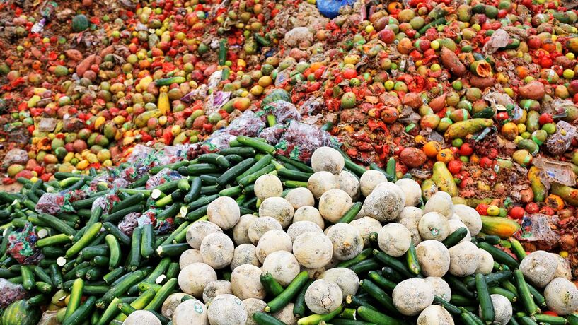 Desperdício alimentar: No prato ou no lixo?