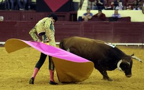 Covid-19: Praças de Touros já podem lidar com metade da lotação 