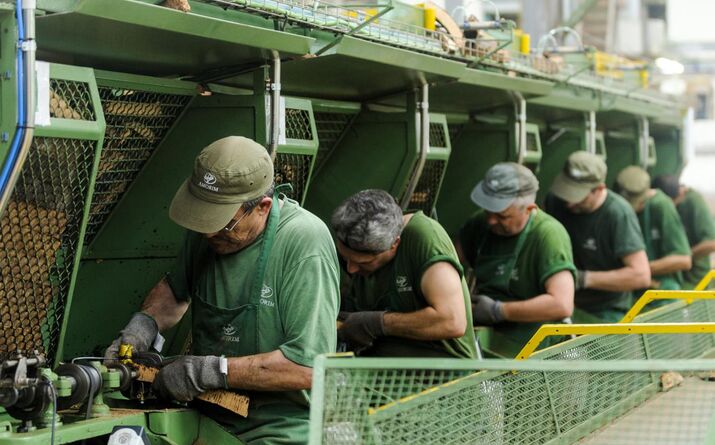Corticeira Amorim: Empresa antecipa subida do EBITDA a partir de 2020