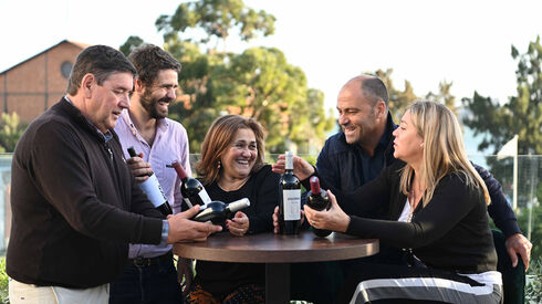 Vinho “sem consenso”