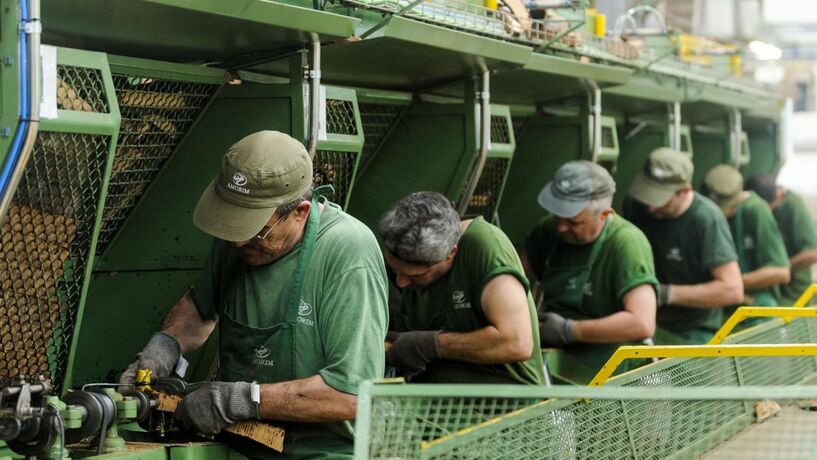 Corticeira Amorim decide em junho