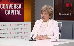 Maria Lúcia Amaral: 'Não houve queixas sobre o mau funcionamento dos serviços públicos'