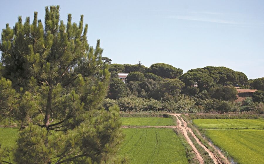 O alargamento do cadastro simplificado foi anunciado pelo Governo em 2018, mas só agora está a sair do papel.