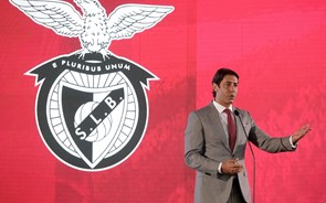 SAD do Benfica alarga administração a nove elementos por causa do 'rei dos frangos'